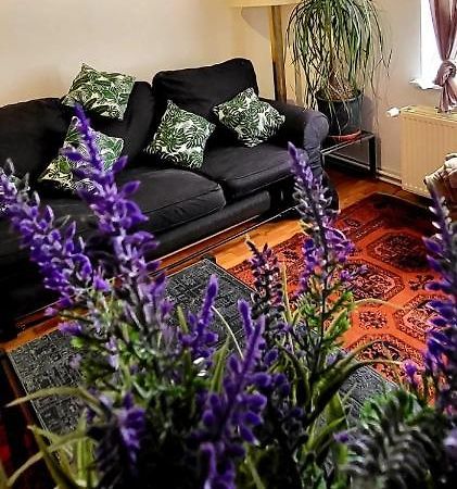 Bright Studio Close To Zaventem Airport บรัสเซลส์ ภายนอก รูปภาพ