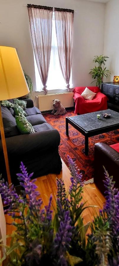 Bright Studio Close To Zaventem Airport บรัสเซลส์ ภายนอก รูปภาพ